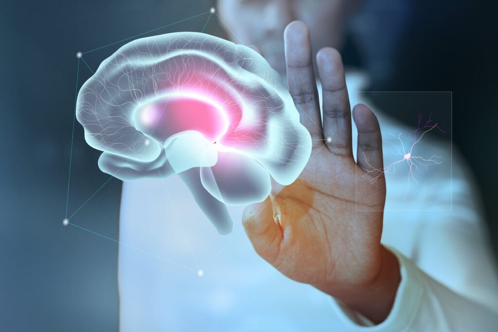 neuropsicologia neuropsicologia centro medico sector v